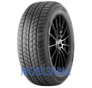 Легкові Doublestar WINTERKING DW09 R17-R20
