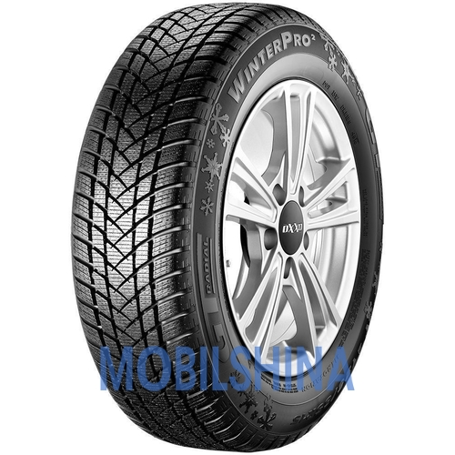 Gt radial WinterPro2 - фото 1