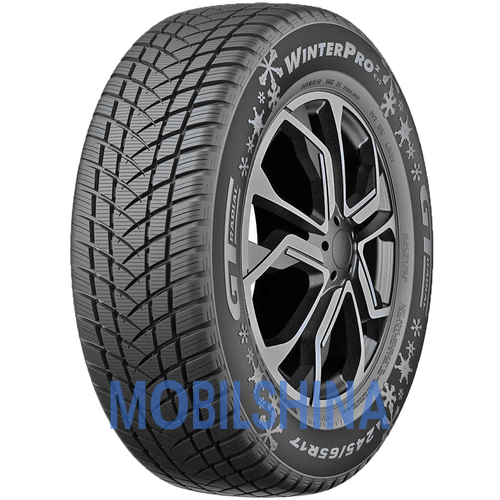 Gt radial WinterPro2 evo - фото 1