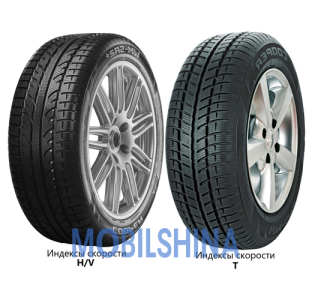 Шини Cooper Cooper Weather-Master SA2+ R14-R17