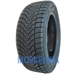 Шини Легковые Tercelo Blue Snow R16