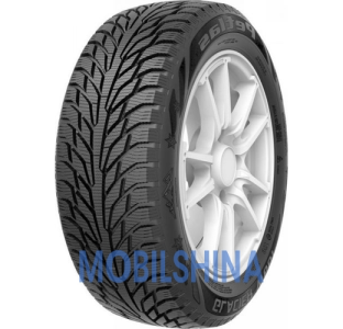 Шини Petlas Petlas Glacier W661 R13-R17