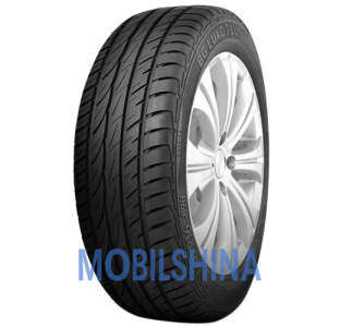 Шини Легковые General tire BG Luxo Plus R16