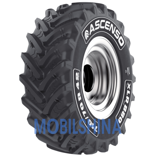 Ascenso XLR 880 (с/х) - фото 1